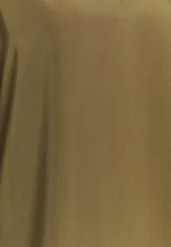 Presupuesto 💯 Anna Field Camiseta De Manga Larga - Khaki, Mujer 👍 5 Presupuesto 💯 Anna Field Camiseta De Manga Larga - Khaki, Mujer 👍 -Anna Field Tienda de ventas bceebd4d7a214c388fe631db18a1acb1